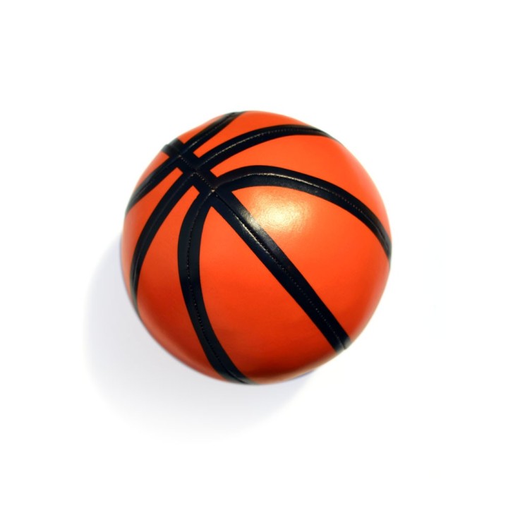Canestro da Basket FUN per tappeto elastico