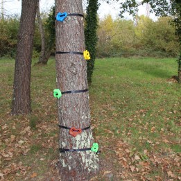 Appigli per arrampicarsi sugli alberi