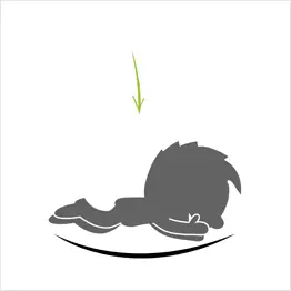 Salto in alto con atterraggio frontale sul tappeto elastico