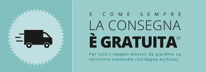 La consegna è gratuita(2)