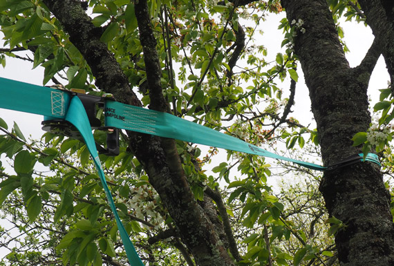 Percorso Ninja + Slackline